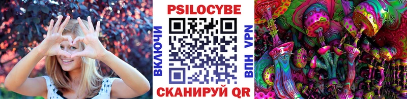 mega рабочий сайт Сенгилей Галлюциногенные грибы Cubensis